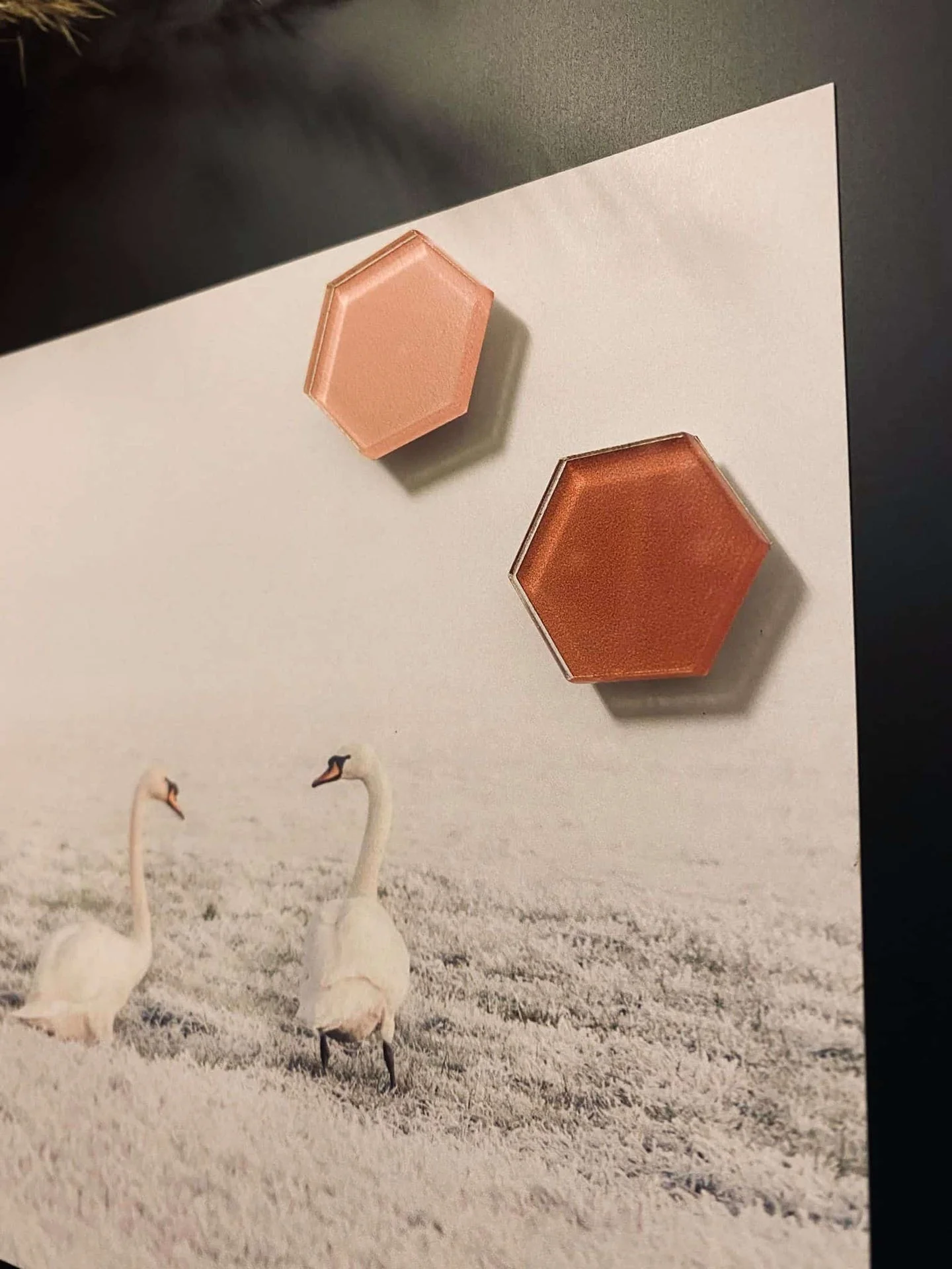 Miniatyrbild 1