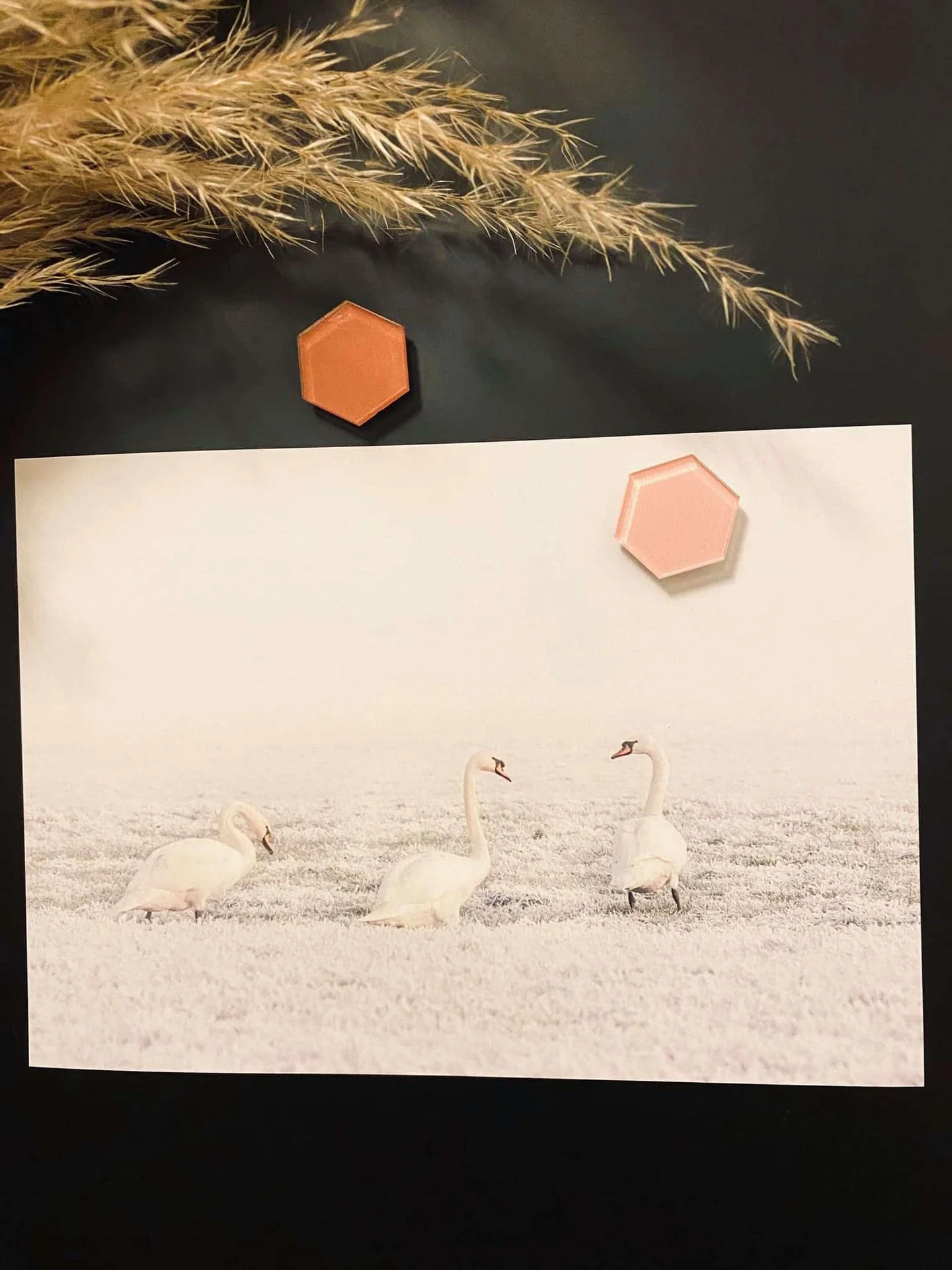 Miniatyrbild 2