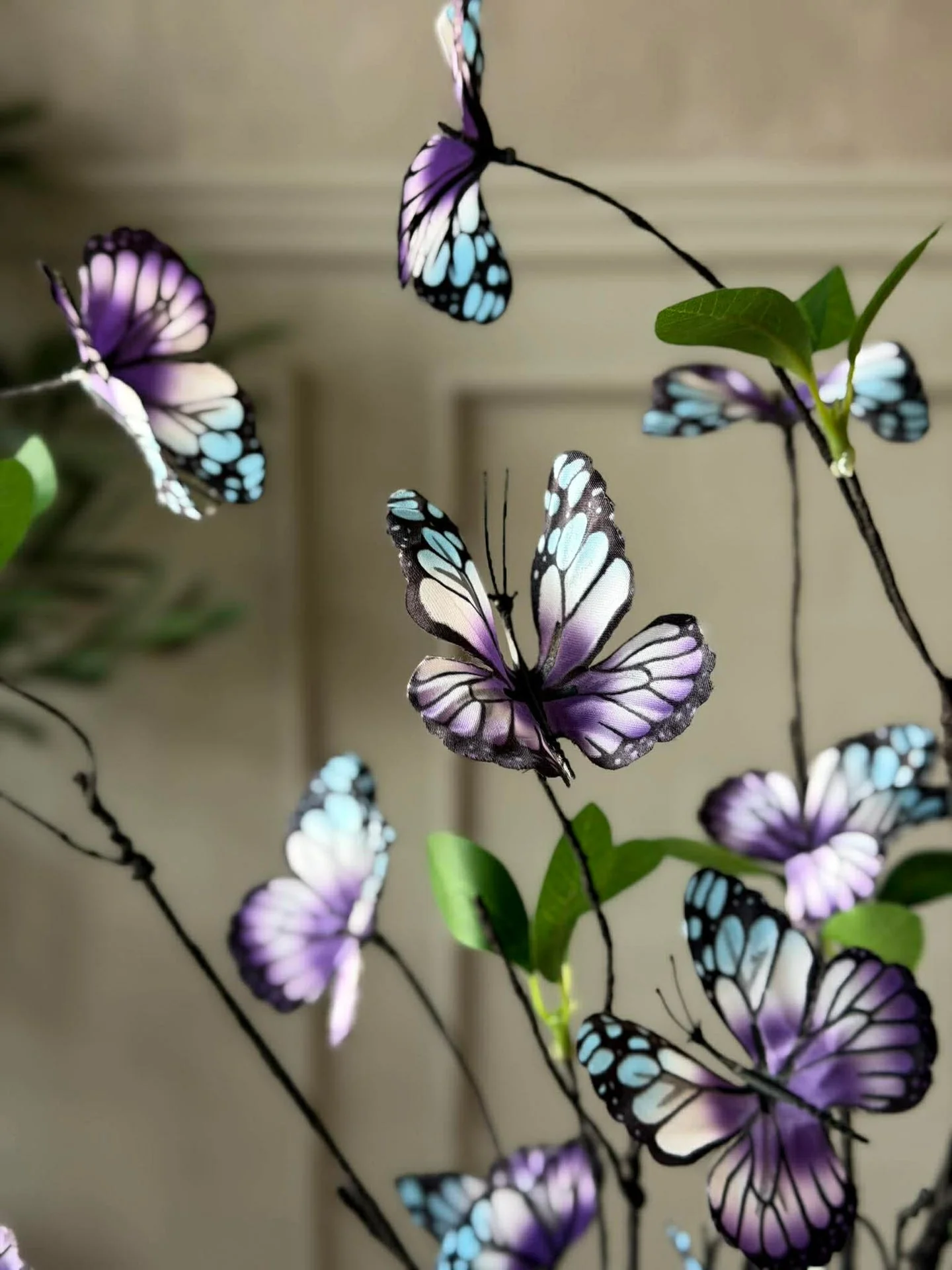Miniatyrbild 5