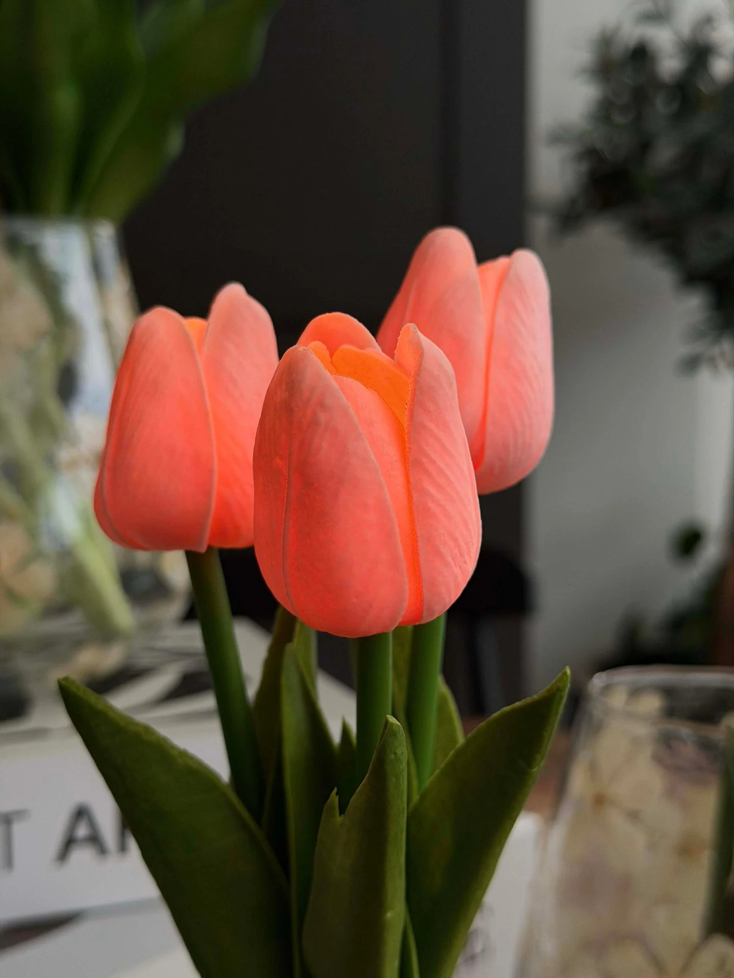 Miniatyrbild 5