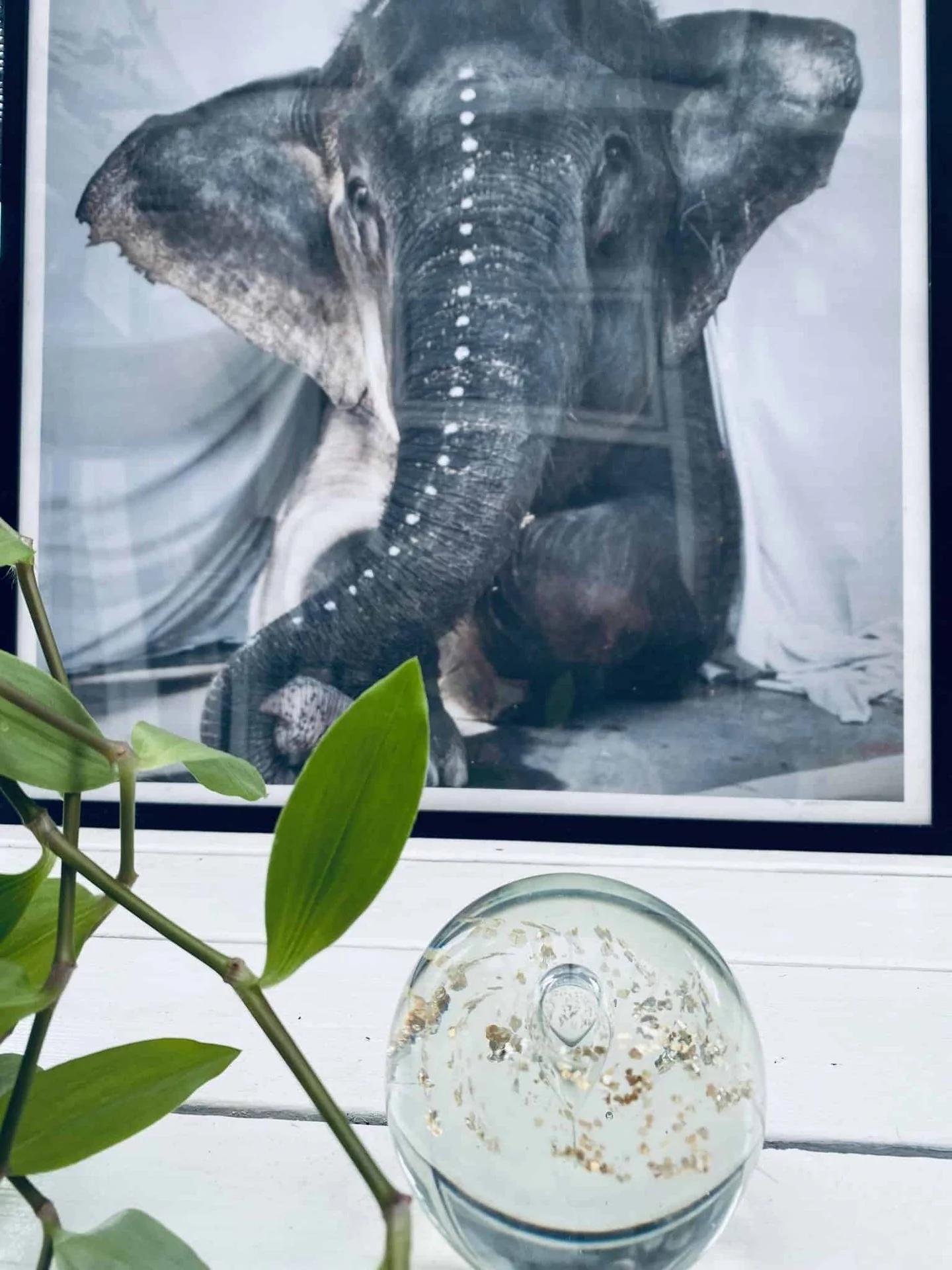 Miniatyrbild 3
