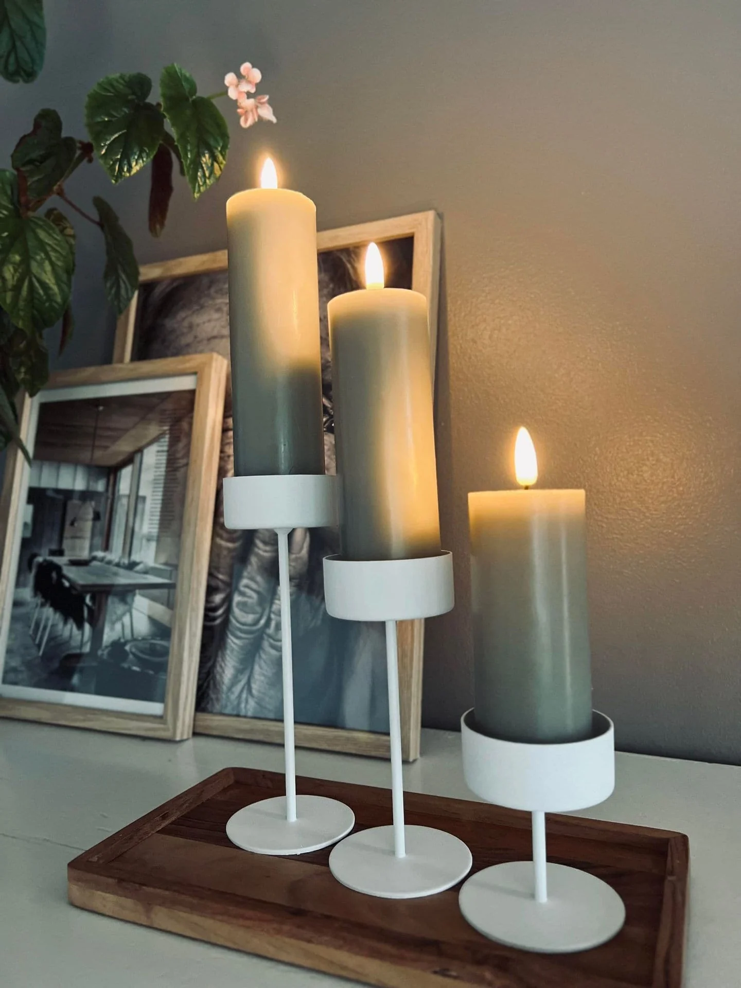 Miniatyrbild 5